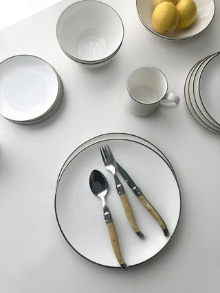 Alex Platinum Lifestyle Photo