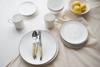 Alex Platinum Lifestyle Photo