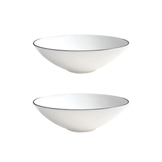 Alex Platinum Set of 2 8" Soup / Pasta Bowl White Background Photo