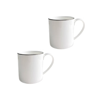 Alex Platinum Set of 2 Mug White Background Photo