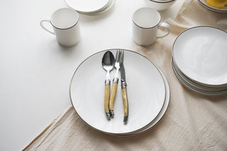 Alex Platinum Lifestyle Photo Dinner Plates Cut