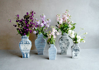 Well Versed Collection Photo