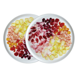 Petals Set of 2 8-3/4 in. Salad Plates White Background Photo