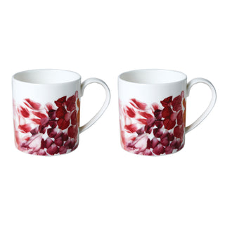 Petals Set of Two Mugs​ White Background Photo