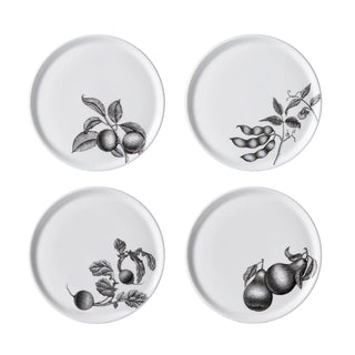Olive Market Set of 4 6 in. Bread Plates White Background Photo